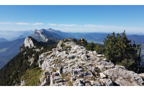 Ultra Trail du Vercors raconté par un mulot